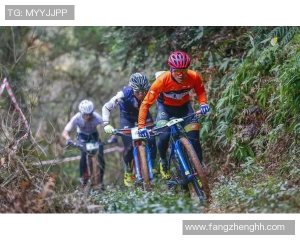 深圳极限运动队协作创新引发热议推动极限运动新潮流